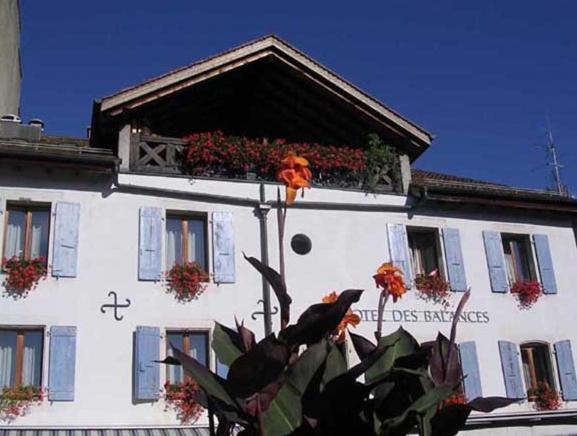 Hotel Des Balances Versoix Exterior photo